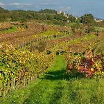 Rozina - Happy * Dutovlje