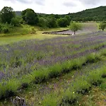 Ferienhaus Rozina - Happy